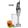 BATIDORA TM INOX  650W