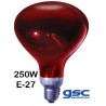 BOMBILLA INFRARROJOS 250W